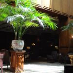 Nh hotels