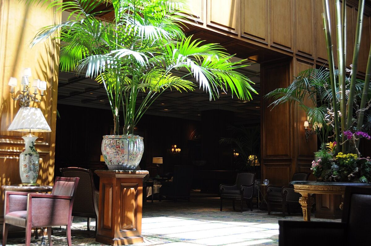 Nh hotels