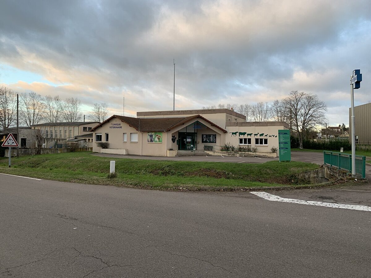 Veterinaria