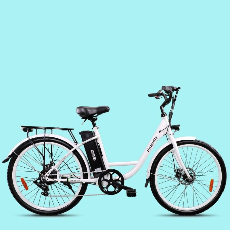 FRIENDLY V4.1 250W 36V foto 2