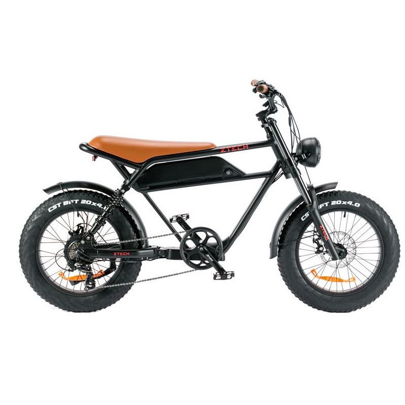 Z-TECH ZT-75A LEGACY 3.0 250W 48V foto 4