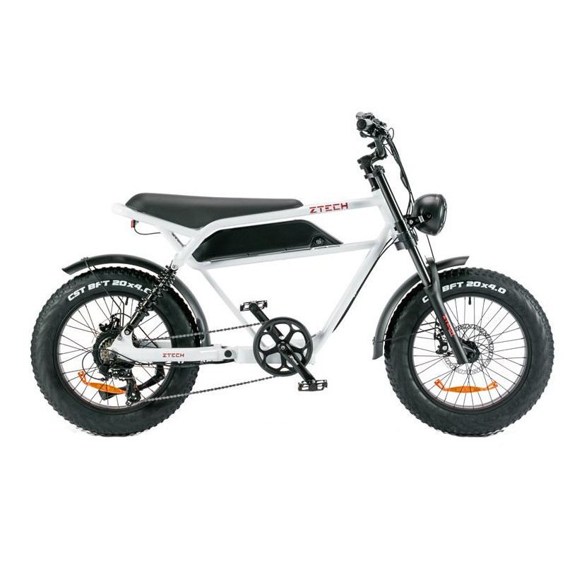 Z-TECH ZT-75A LEGACY 3.0 250W 48V foto 6