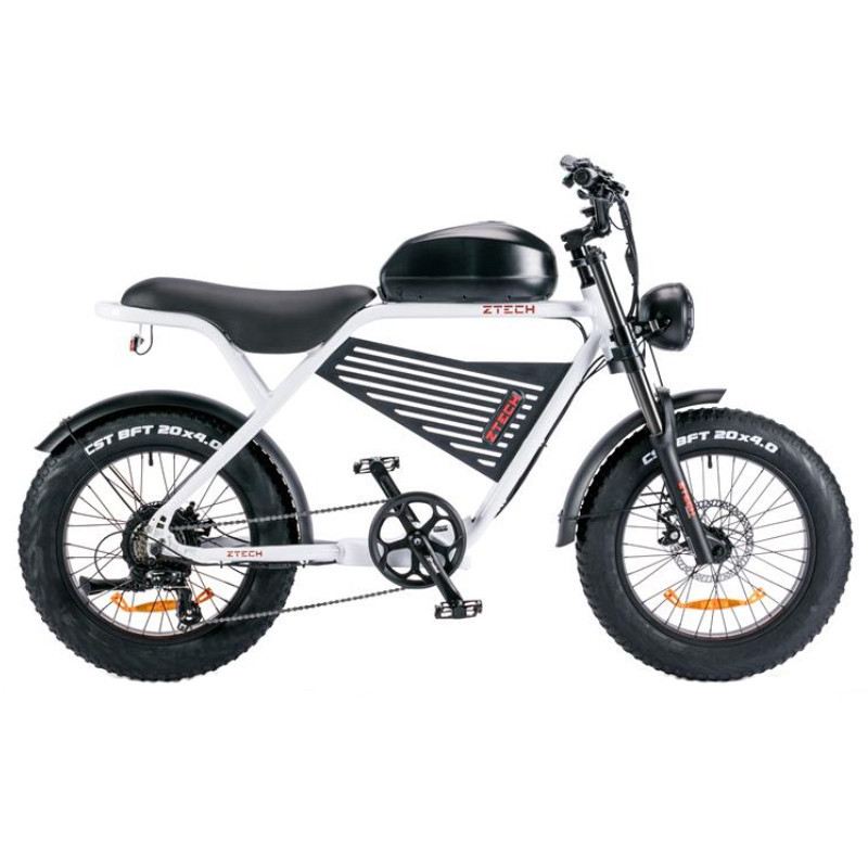Z-TECH ZT-75B LEGACY 4.0 500W 48V foto 6