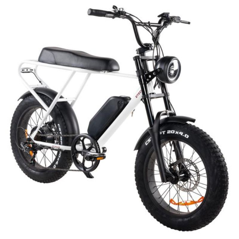Z-TECH ZT-86A LEGACY 250W 48V foto 8