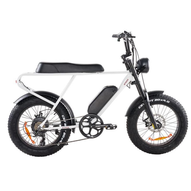 Z-TECH ZT-86A LEGACY 250W 48V foto 9