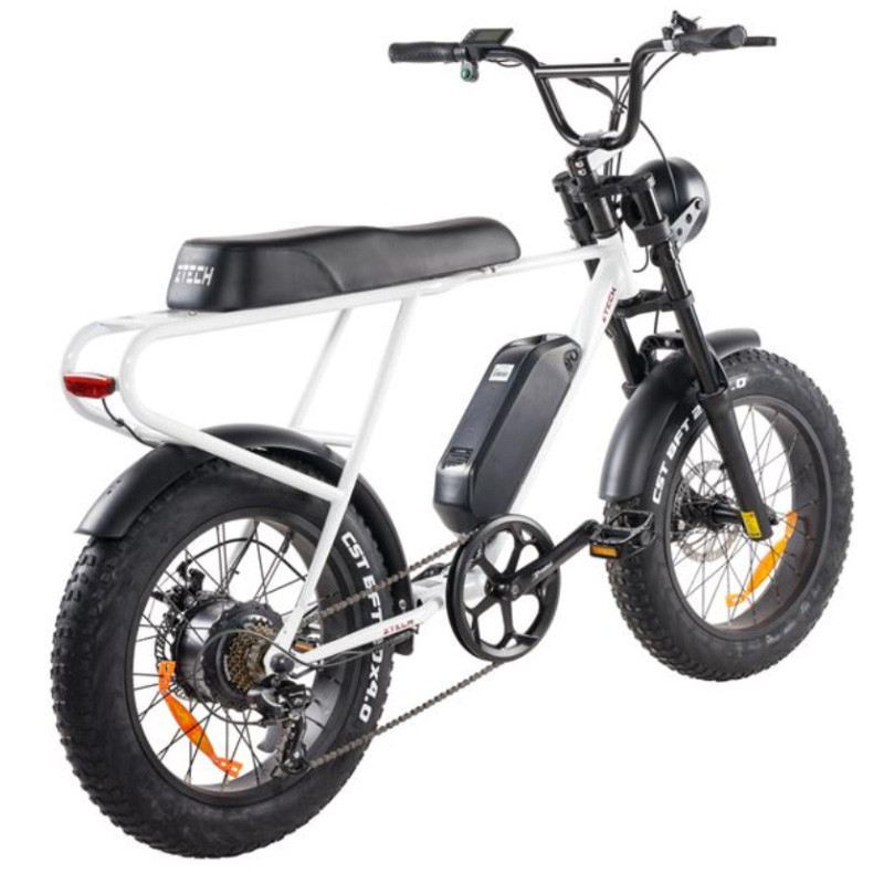 Z-TECH ZT-86A LEGACY 250W 48V foto 10