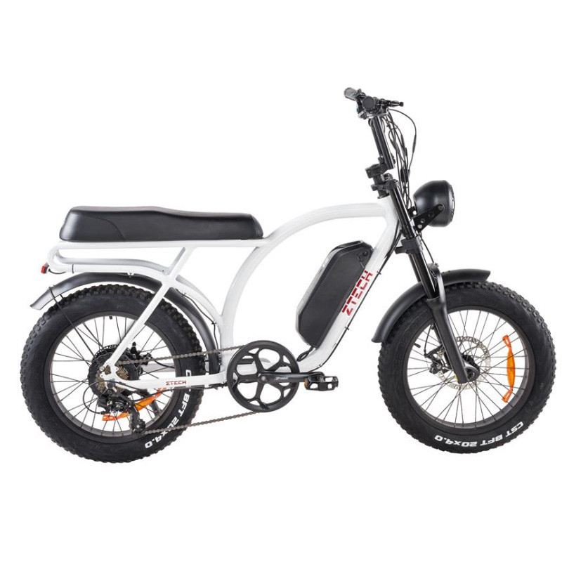 Z-TECH ZT-86B LEGACY 2.0 250W 48V foto 3