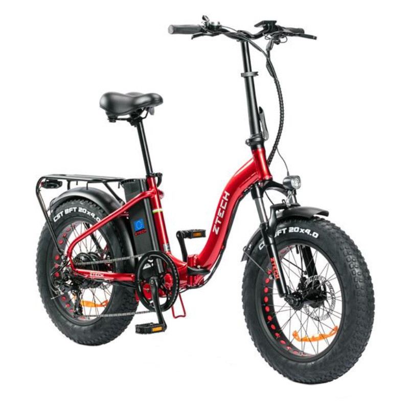 Z-TECH ZT-89F 250W 36V foto 9