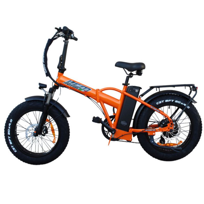 LEM E-BIKE ORLANDO COMFORT SPECIAL 250W 48V foto 5