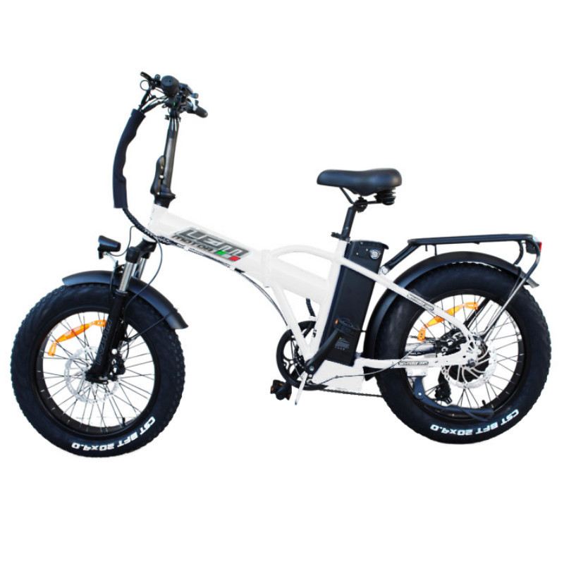 LEM E-BIKE ORLANDO COMFORT SPECIAL 250W 48V foto 4