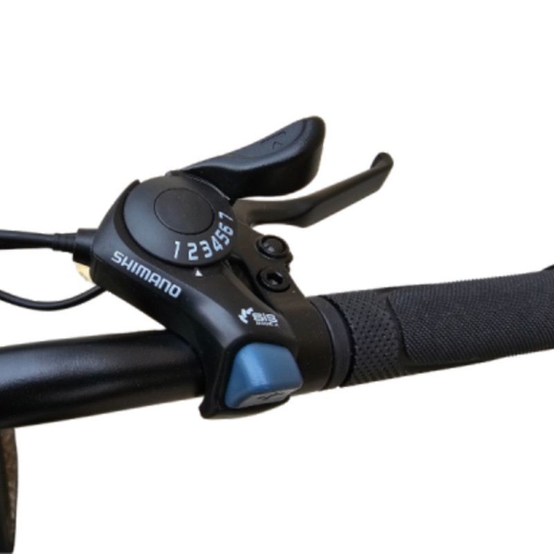LEM E-BIKE ORLANDO COMFORT SPECIAL 250W 48V foto 6