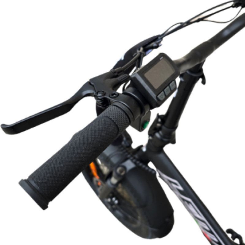 LEM E-BIKE ORLANDO COMFORT SPECIAL 250W 48V foto 7