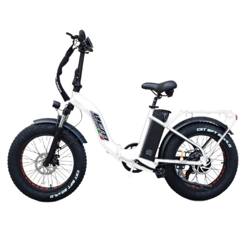 LEM E-BIKE FLORIDA COMFORT 250W 48V foto 2