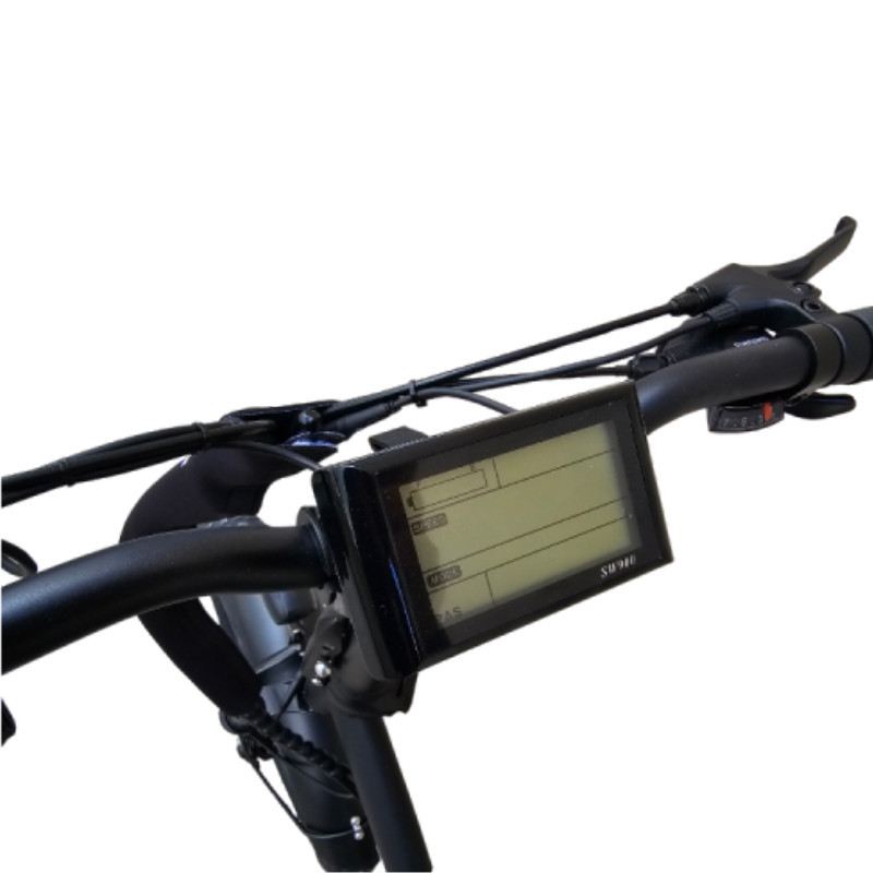 LEM E-BIKE FLORIDA COMFORT 250W 48V foto 3