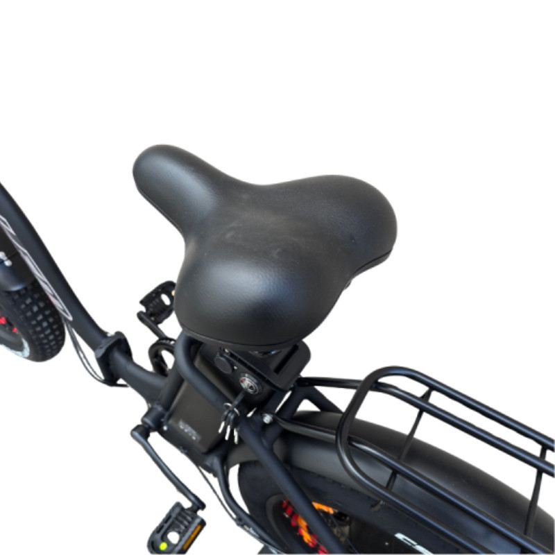 LEM E-BIKE FLORIDA COMFORT 250W 48V foto 4