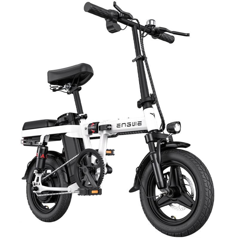 ENGWE T14 EBIKE PIEGHEVOLE 250W 48V foto 2