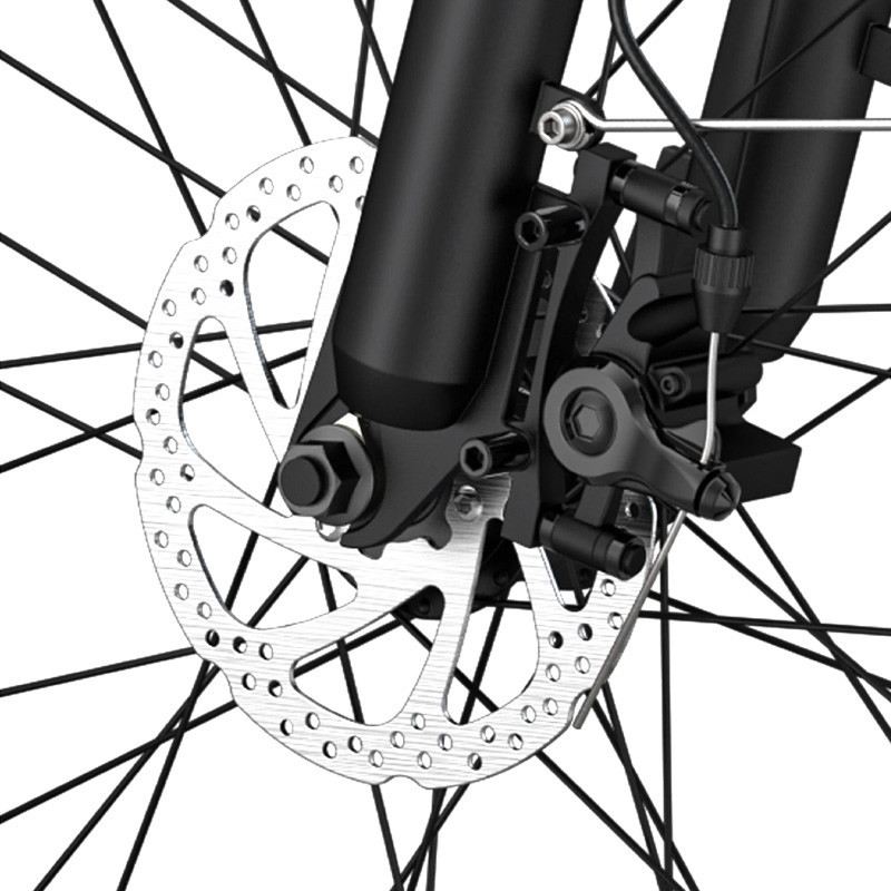 ENGWE P26 EBIKE 250W 36V 17AH foto 9