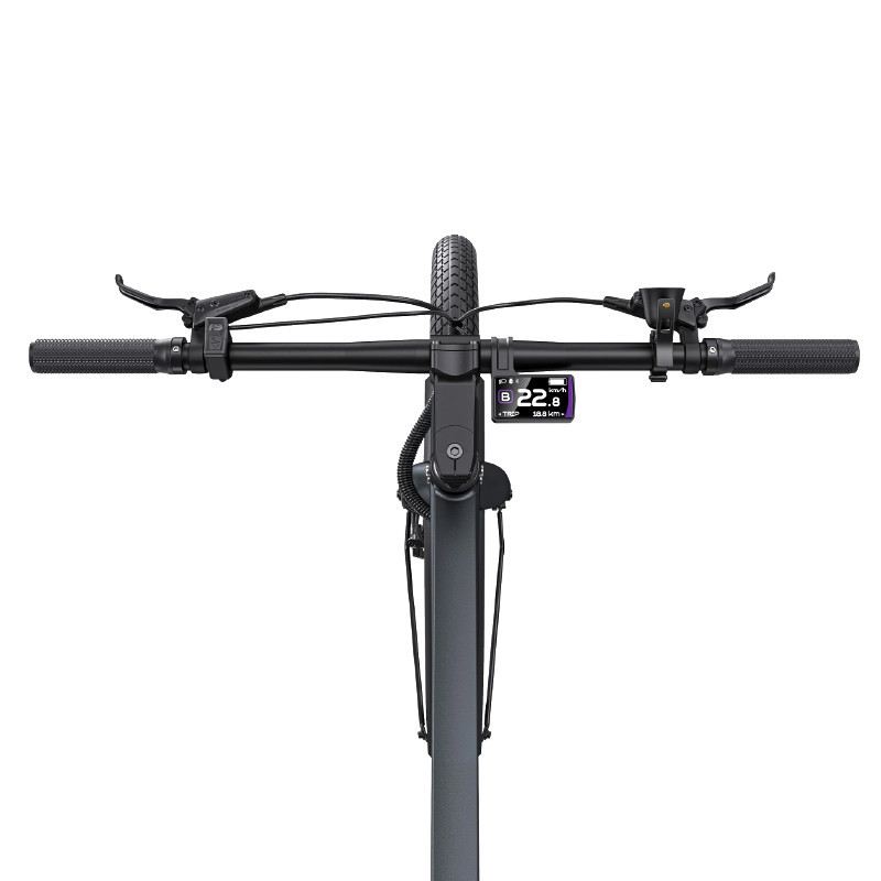ENGWE P275 PRO EBIKE 250W 36V 19.2AH foto 12
