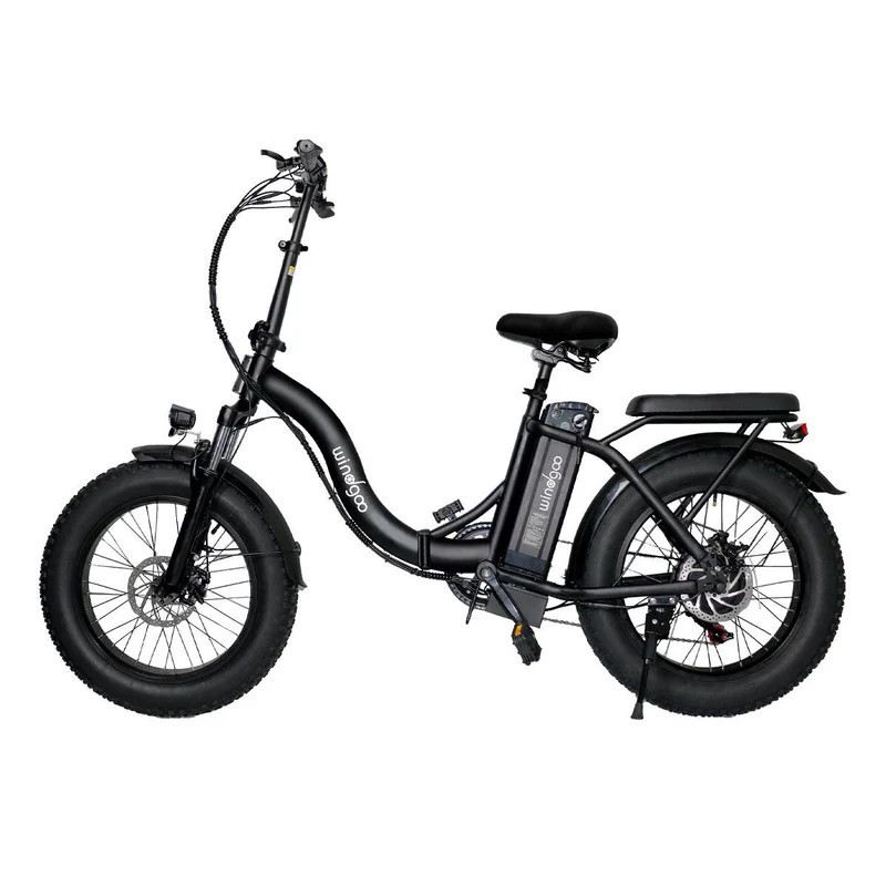WINDGOO E20 PRO 250W 48V foto 2