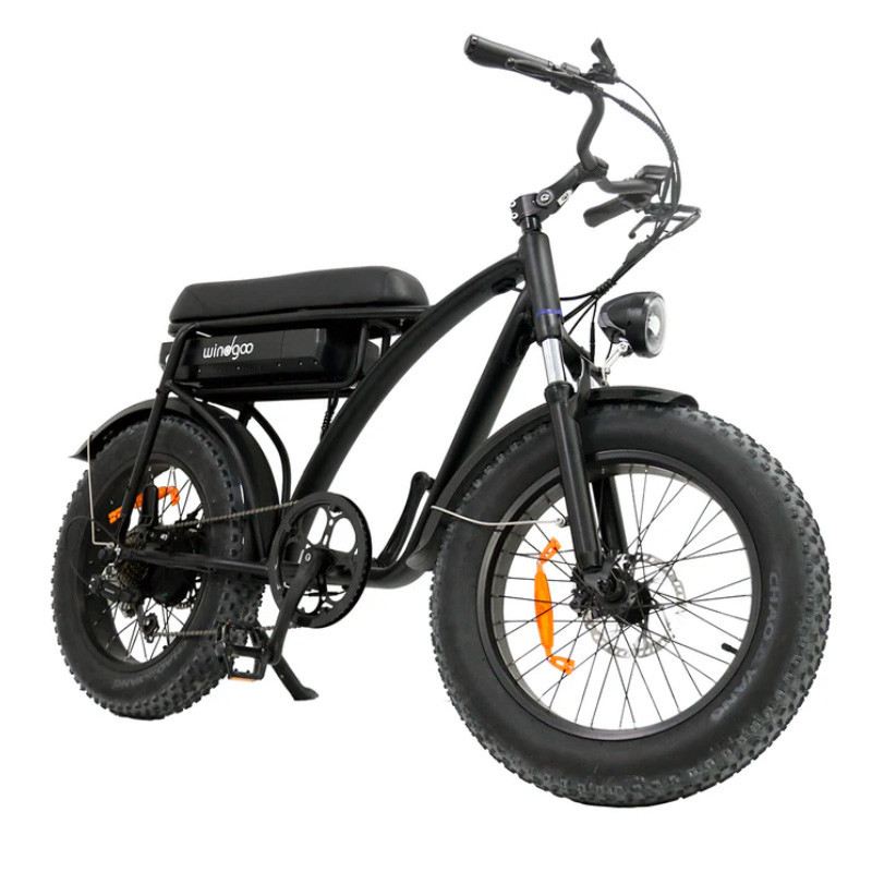 WINDGOO F5 250W 48V foto 2