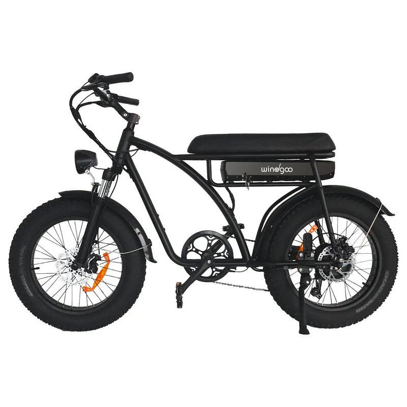WINDGOO F5 250W 48V foto 3