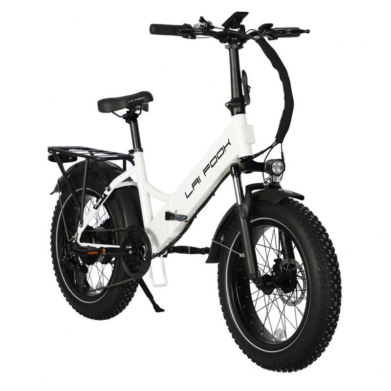 LAIFOOK CITYFUN 250W 48V 14AH foto 2