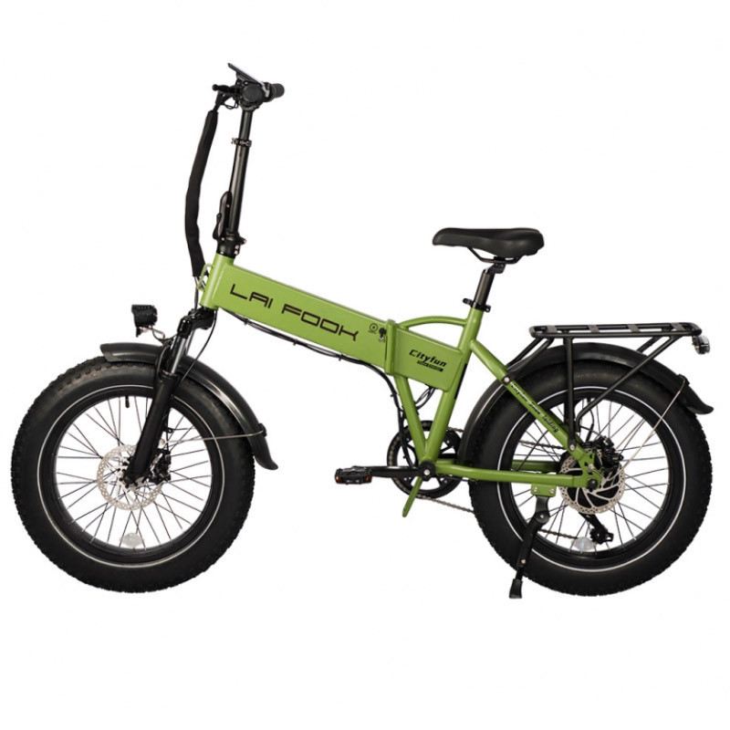 LAIFOOK CITYFUN 250W 48V 14AH foto 4