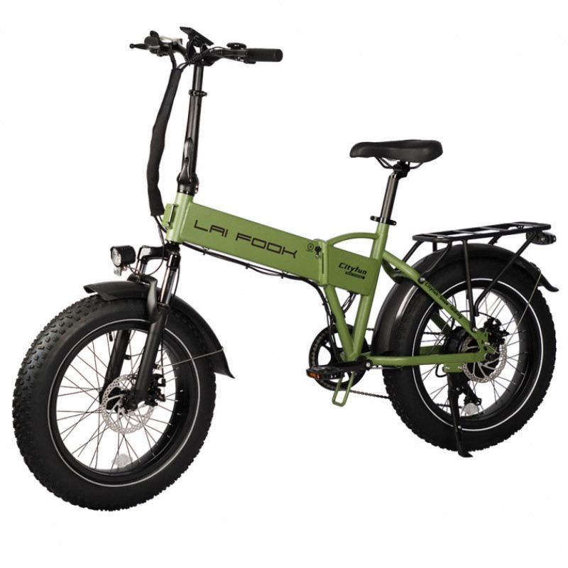 LAIFOOK CITYFUN 250W 48V 14AH foto 5