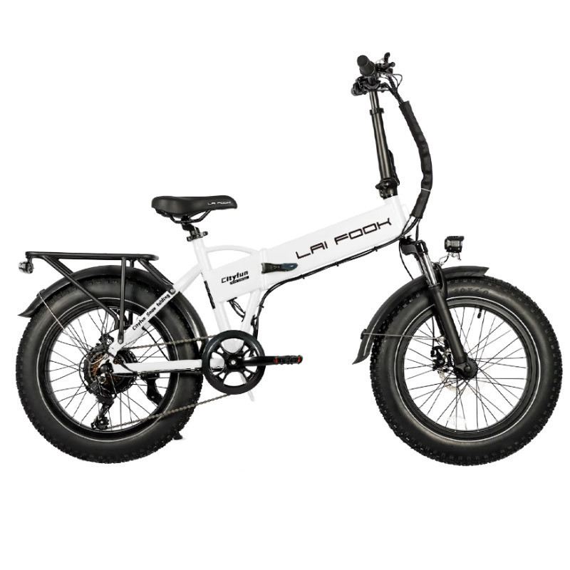 LAIFOOK CITYFUN 250W 48V 14AH foto 8