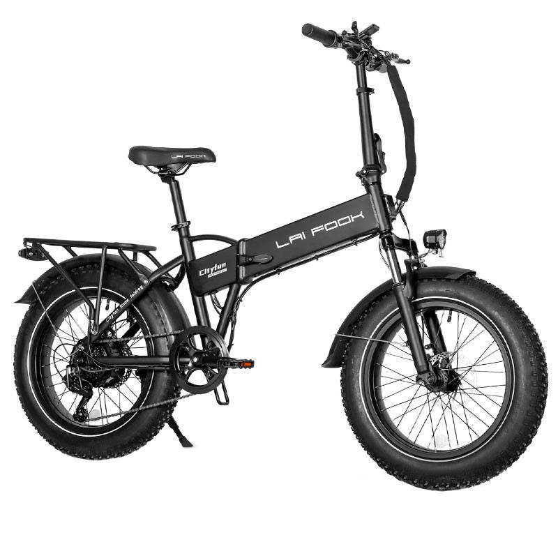 LAIFOOK CITYFUN 250W 48V 14AH foto 9
