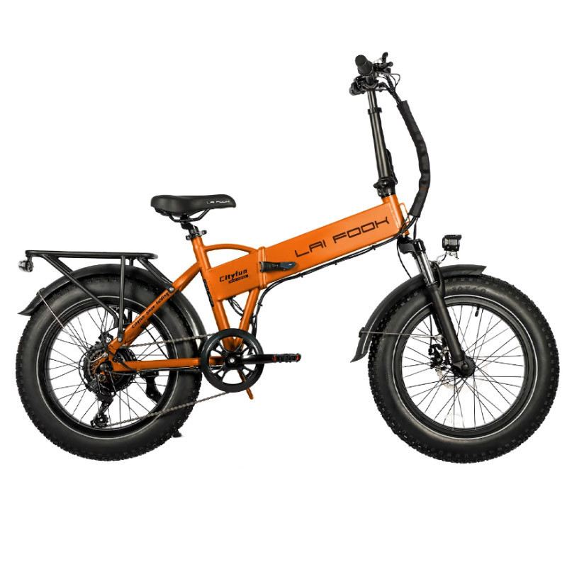 LAIFOOK CITYFUN 250W 48V 14AH foto 12