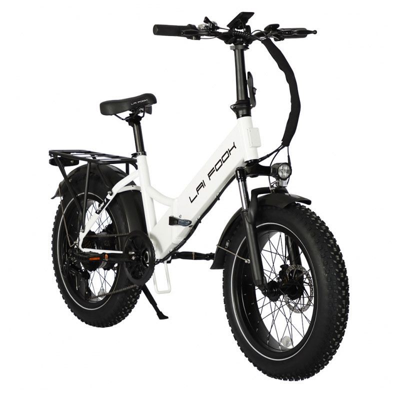 LAIFOOK CITYFUN 750W 48V 14AH foto 9