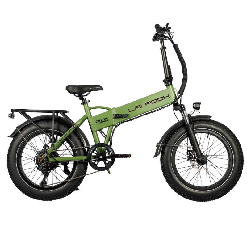 LAIFOOK CITYFUN 750W 48V 14AH foto 3