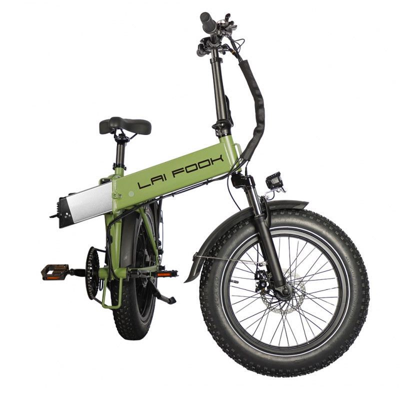 LAIFOOK CITYFUN 750W 48V 14AH foto 6