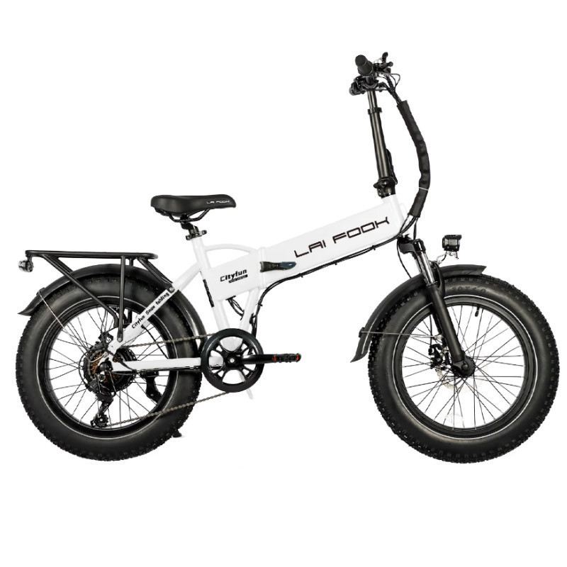 LAIFOOK CITYFUN 750W 48V 14AH foto 10