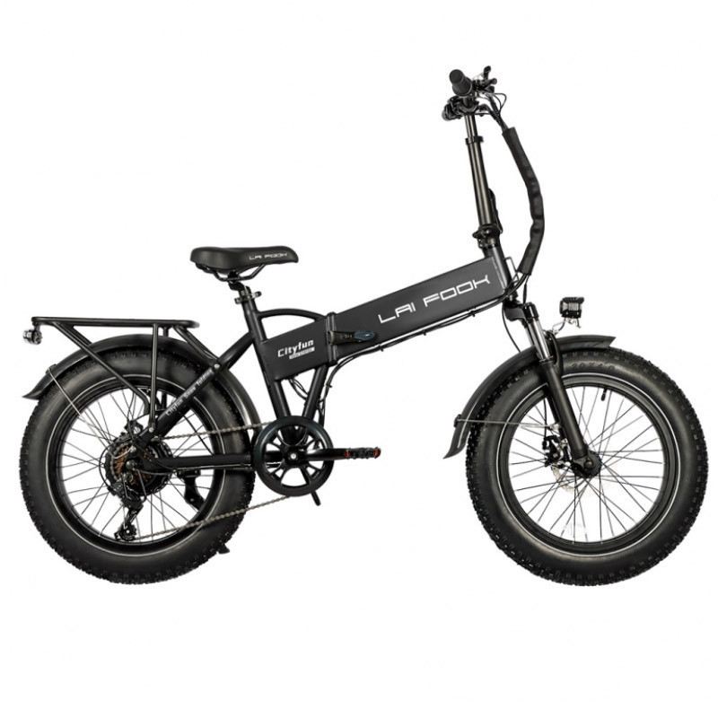LAIFOOK CITYFUN 750W 48V 14AH foto 8