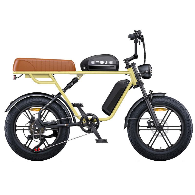 ENGWE E-BIKE M1 250W 48V DOPPIA BATTERIA foto 5