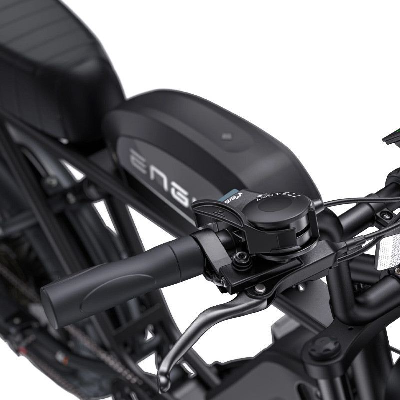 ENGWE E-BIKE M1 250W 48V DOPPIA BATTERIA foto 11
