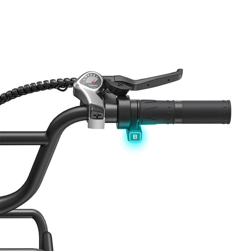 ENGWE E-BIKE L20 BOOST 250W 48V 13AH foto 16
