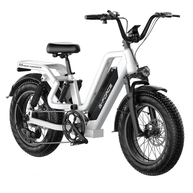 G-FORCE RS FAT BIKE 750W 48V 15.6AH foto 2
