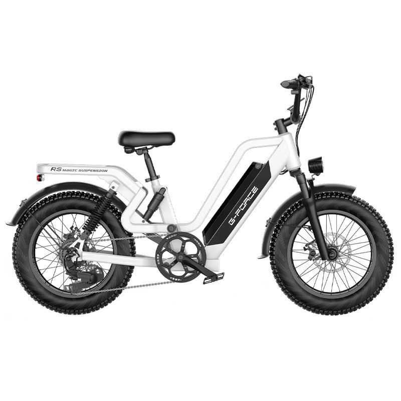 G-FORCE RS FAT BIKE 750W 48V 15.6AH foto 6