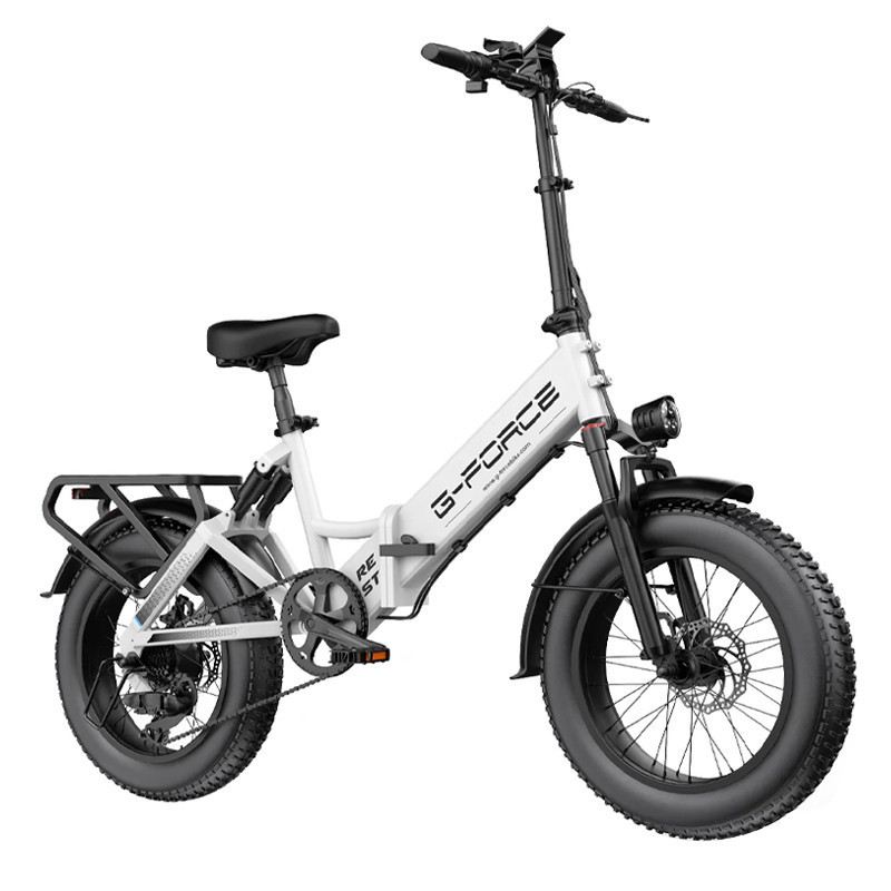 G-FORCE RE FAT BIKE PIEGHEVOLE 250W 48V 20AH foto 2