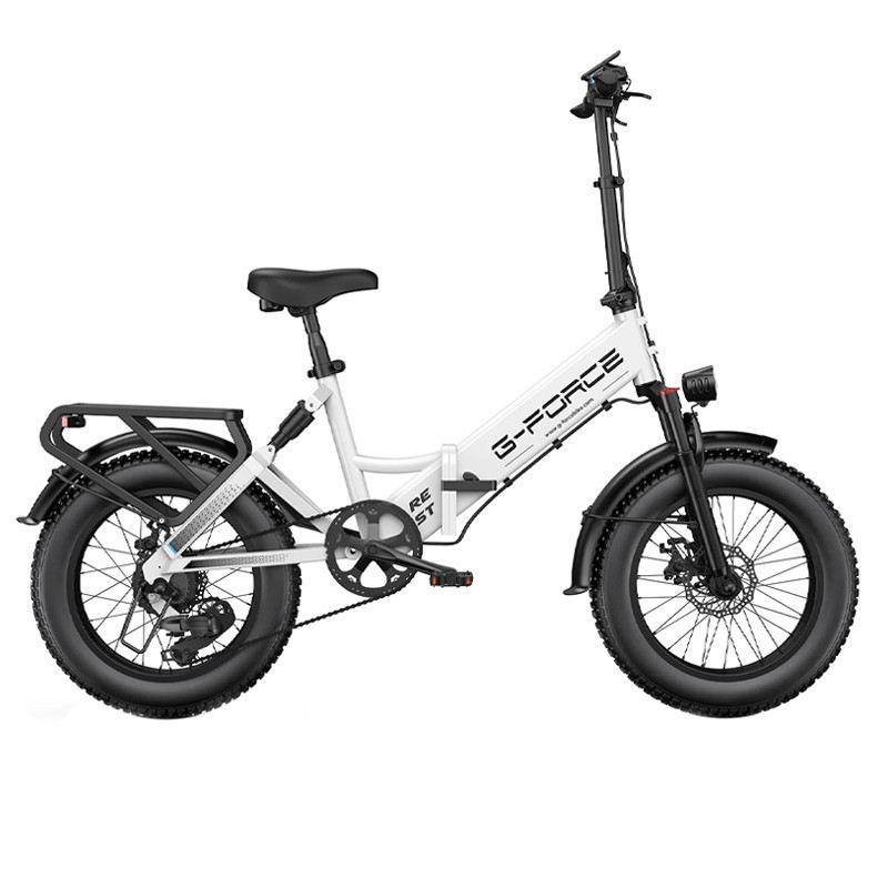 G-FORCE RE FAT BIKE PIEGHEVOLE 750W 48V 20AH foto 7