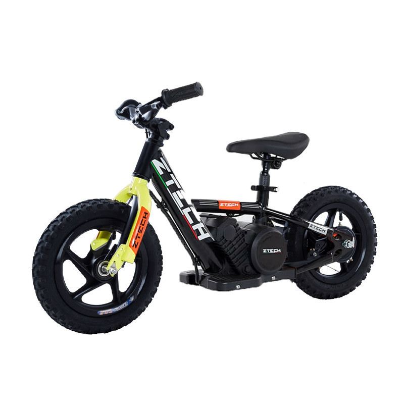 ZTECH ABT 100 WATT RUOTA 12" foto 2