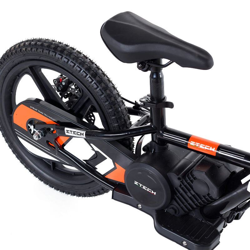 ZTECH ABT 250 WATT RUOTA 16" foto 6
