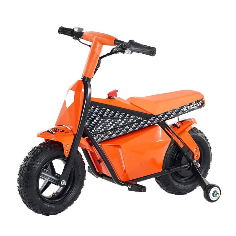 ZTECH ABT 350 WATT RUOTA 10" foto 2
