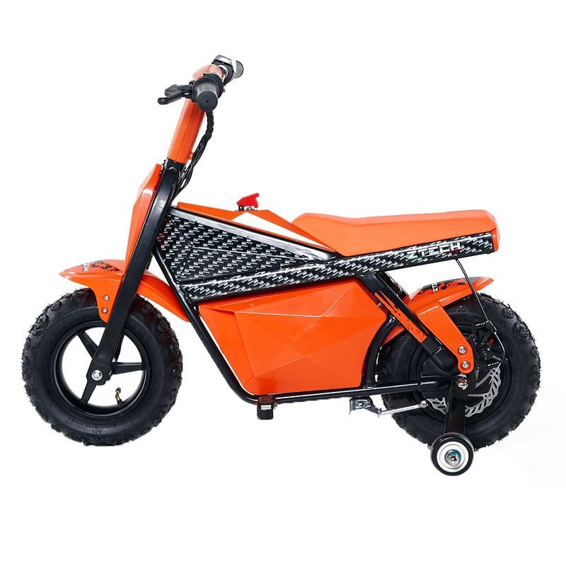 ZTECH ABT 350 WATT RUOTA 10" foto 4