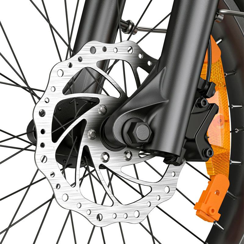 ENGWE L20 3.0 PRO FAT BIKE 250W 48V 15AH foto 14