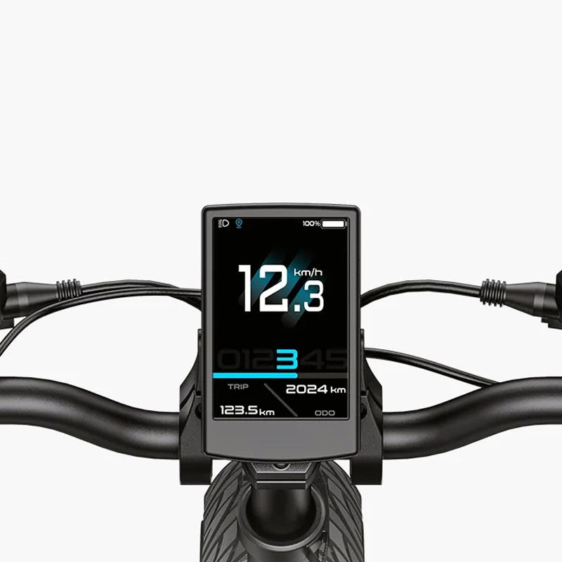 ENGWE L20 3.0 BOOST FAT BIKE 250W 48V foto 15