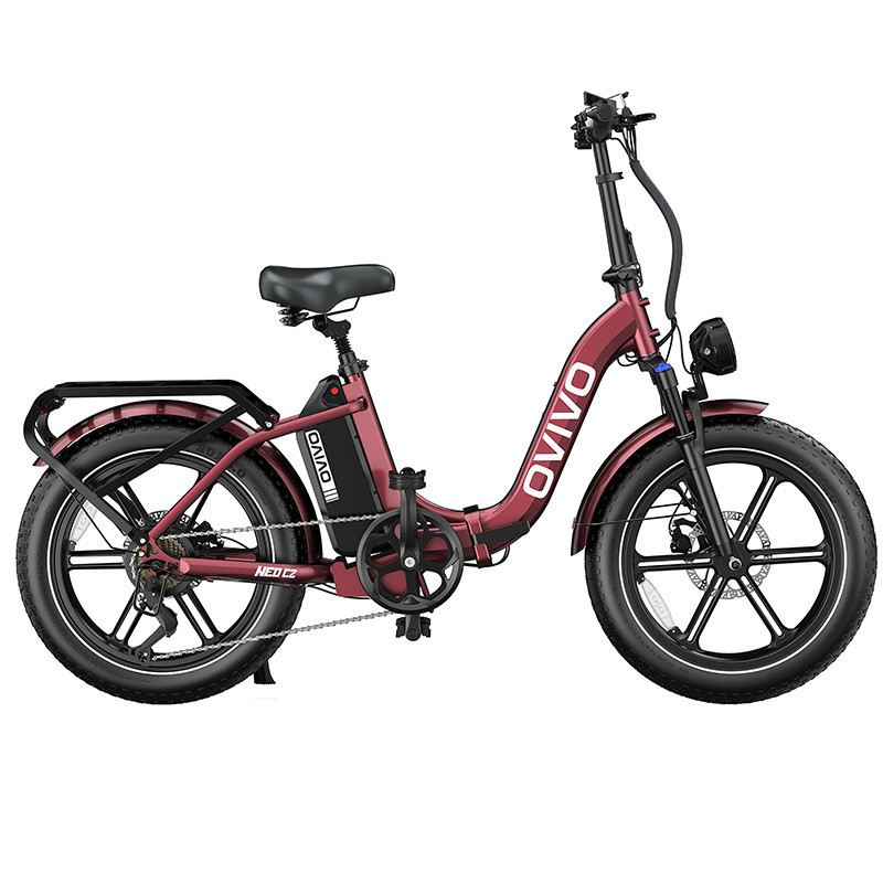 OVIVO NEO C2 FAT E-BIKE PIEGHEVOLE 250W 48V foto 3